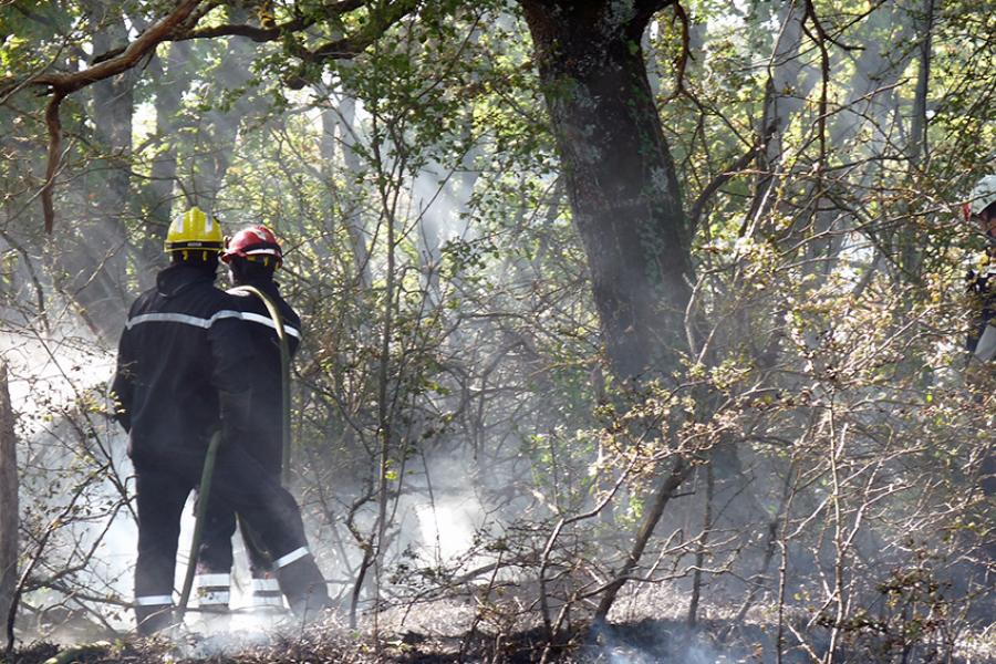 Important feu de broussailles sur la commune de Castres