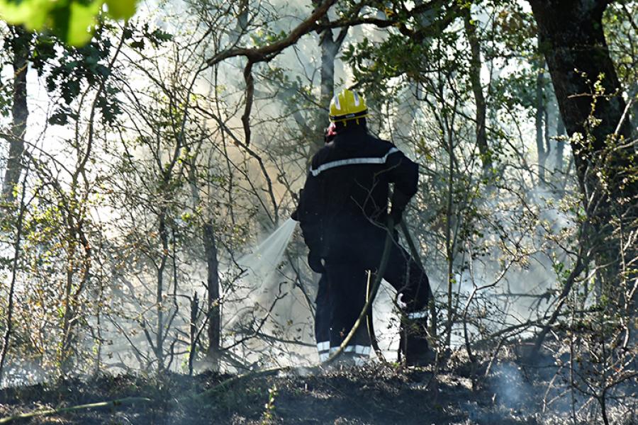 Important feu de broussailles sur la commune de Castres