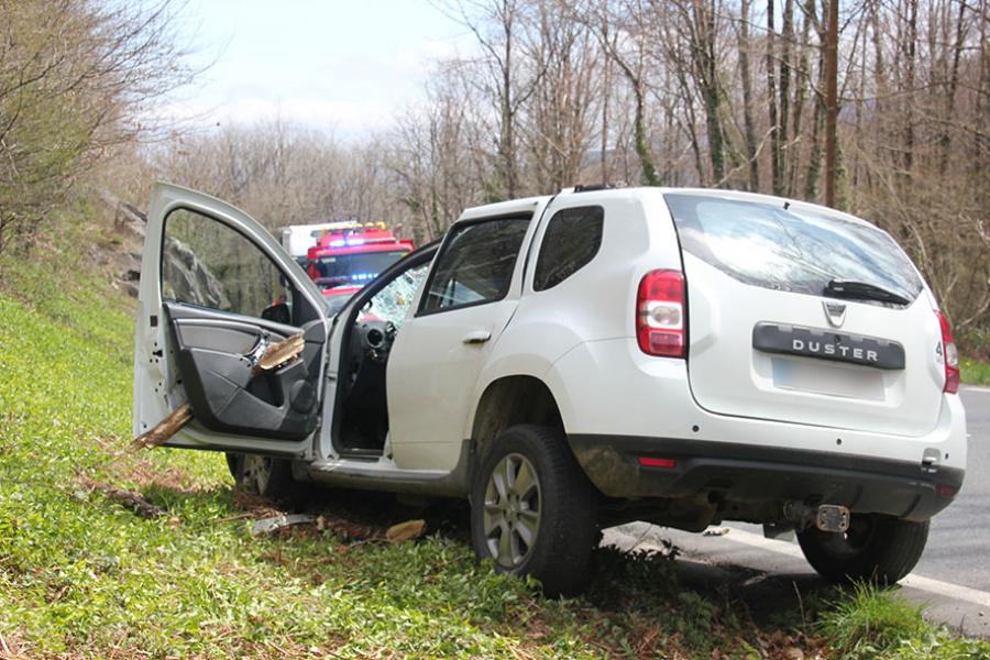 Chute d&#039;un arbre sur un véhicule léger