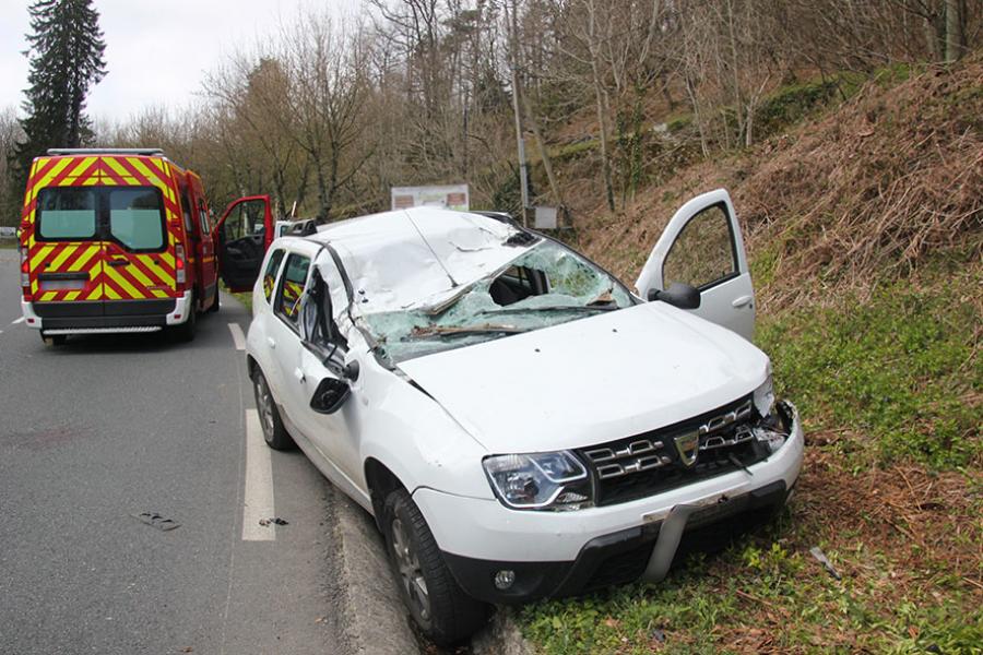 Chute d&#039;un arbre sur un véhicule léger