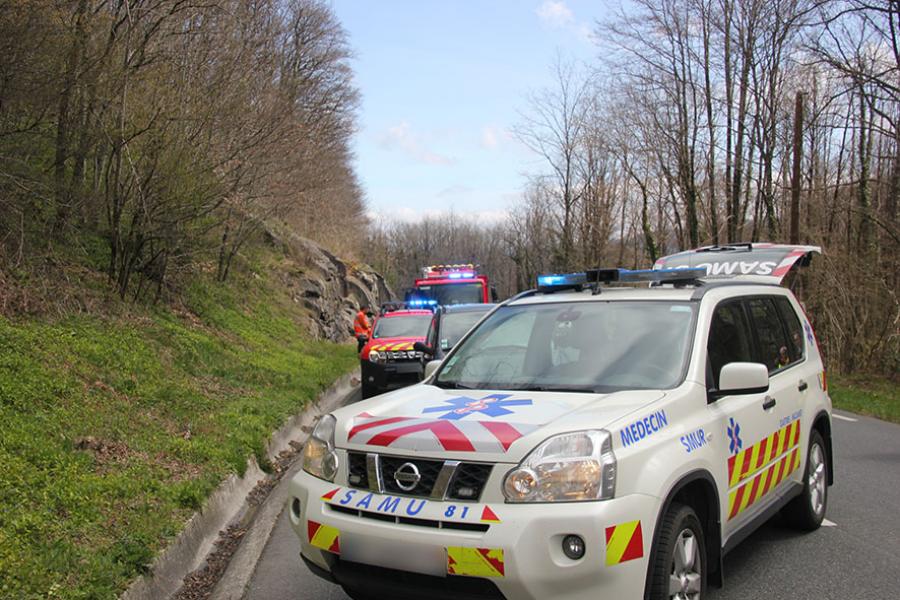 Chute d&#039;un arbre sur un véhicule léger
