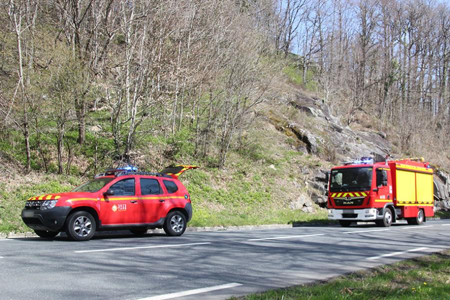 Chute d&#039;un arbre sur un véhicule léger