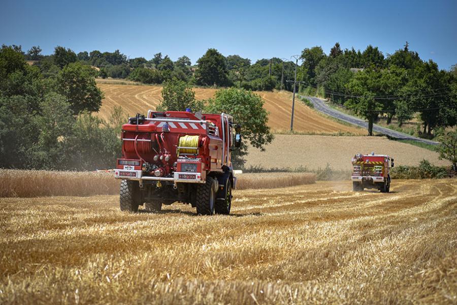 Plusieurs feux de chaumes dans le Tarn, 10 ha brûlés à Mirandol