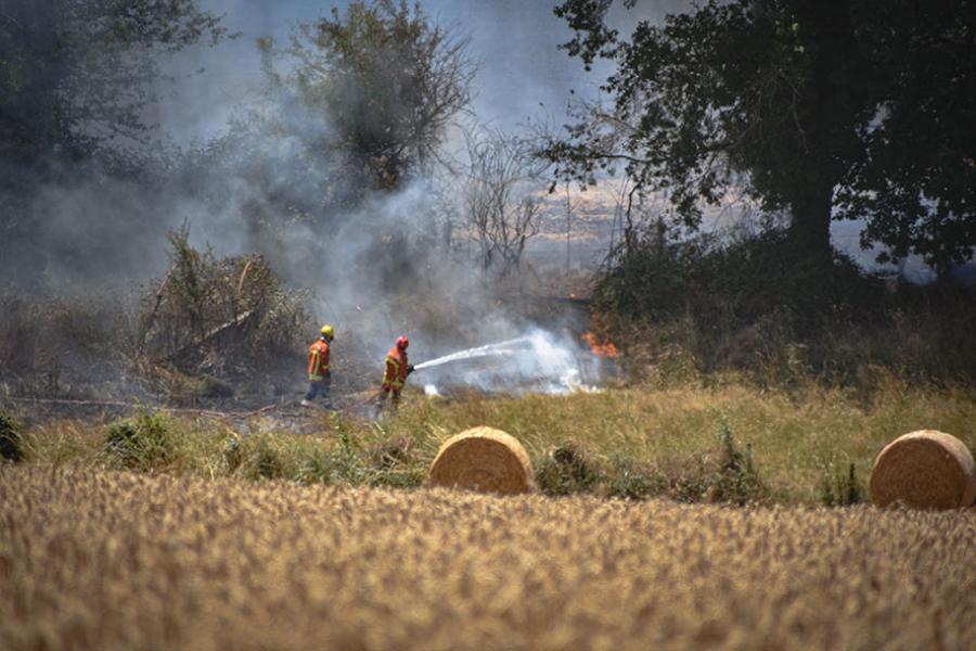 Plusieurs feux de chaumes dans le Tarn, 10 ha brûlés à Mirandol