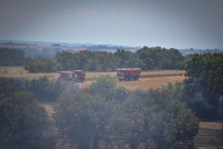 Plusieurs feux de chaumes dans le Tarn, 10 ha brûlés à Mirandol