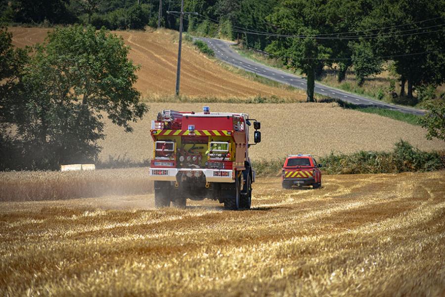 Plusieurs feux de chaumes dans le Tarn, 10 ha brûlés à Mirandol