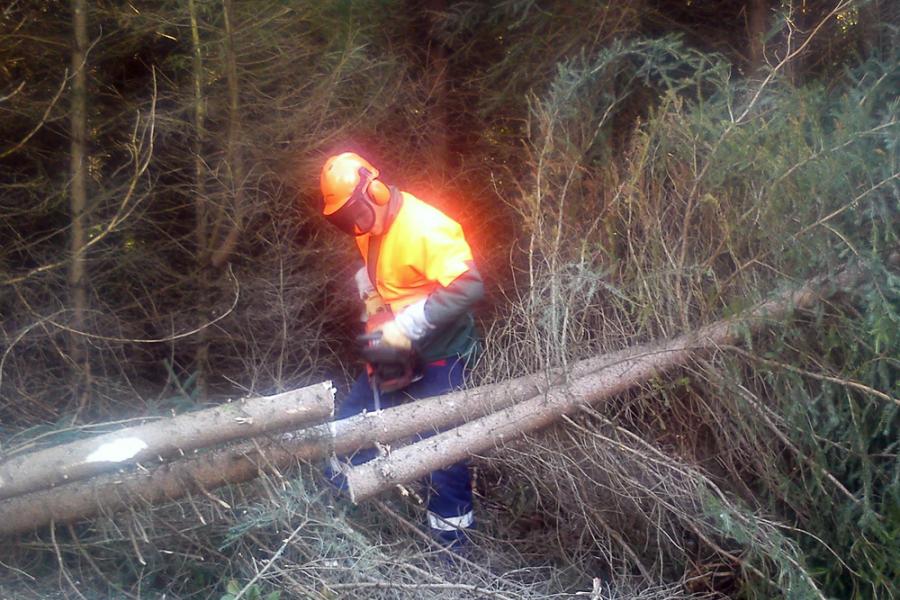 La formation des nouveaux sapeurs-pompiers professionnels continue