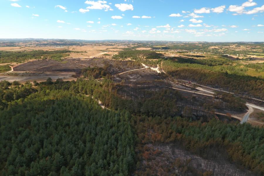 Important feu de forêts sur le terrain militaire à Caucalières