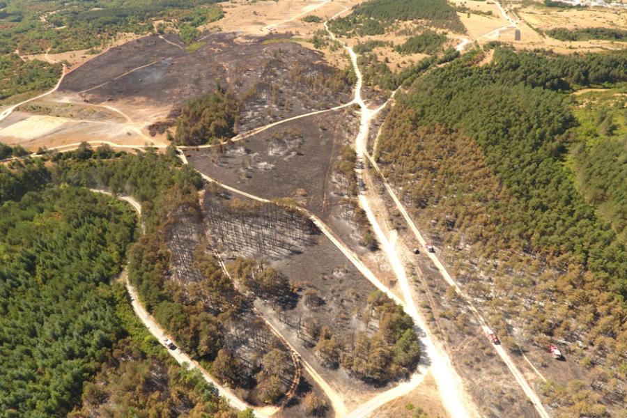 Important feu de forêts sur le terrain militaire à Caucalières