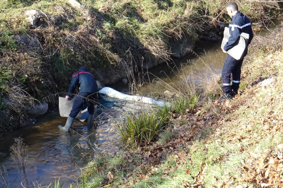 Pollution d&#039;un ruisseau albigeois