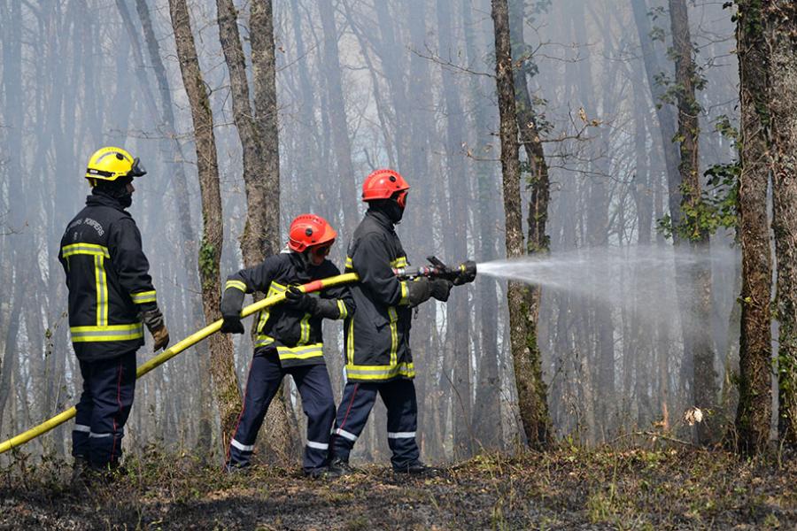 Feu de sous-bois à Giroussens