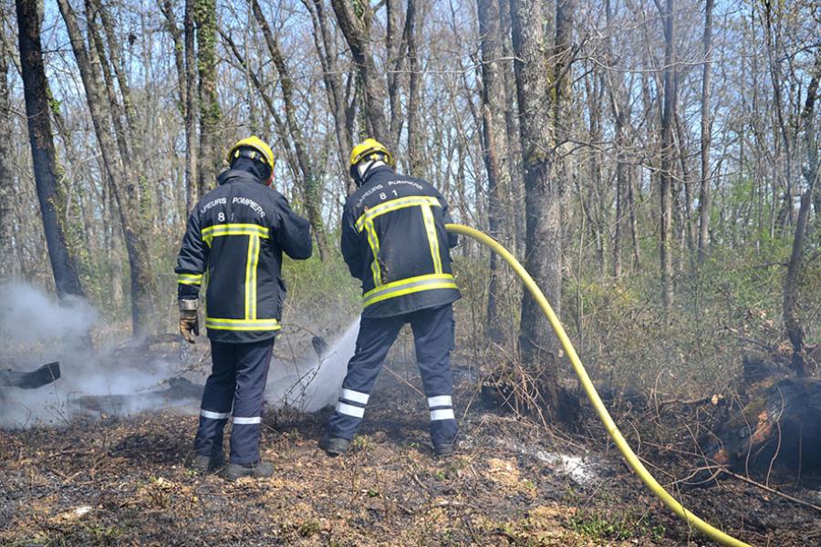 Feu de sous-bois à Giroussens