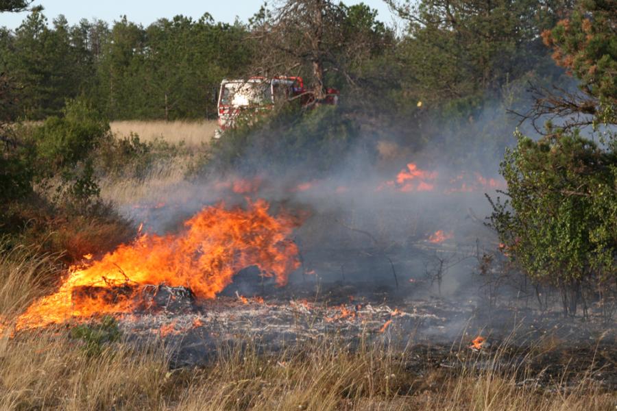 Important feu de forêts sur le terrain militaire à Caucalières