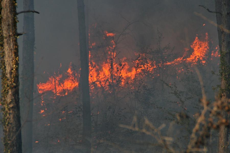 Important feu de forêts sur le terrain militaire à Caucalières