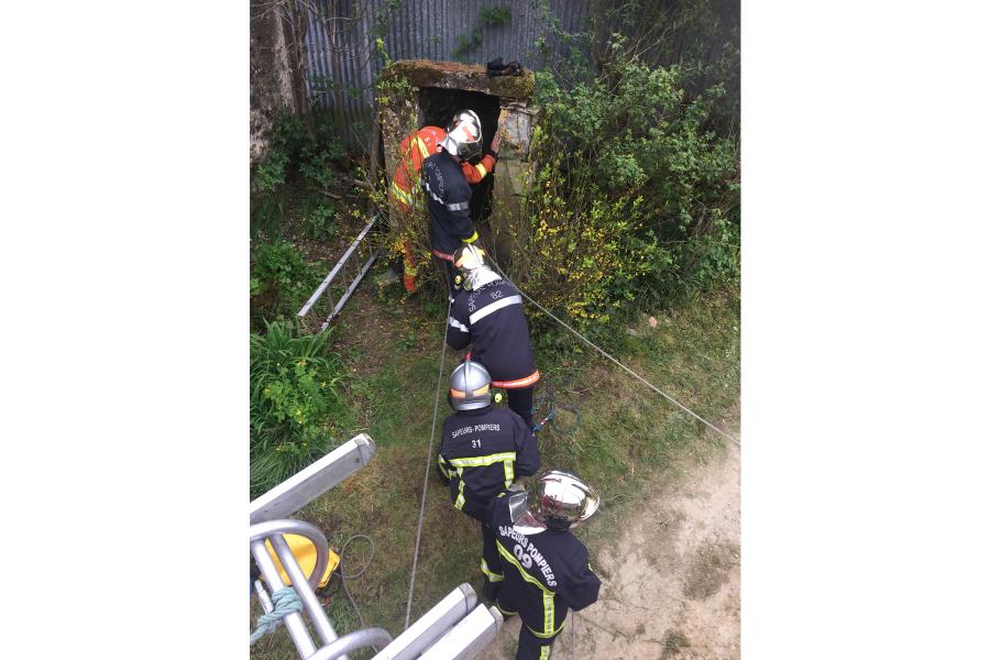 Les sapeurs-pompiers professionnels en Formation Initiale