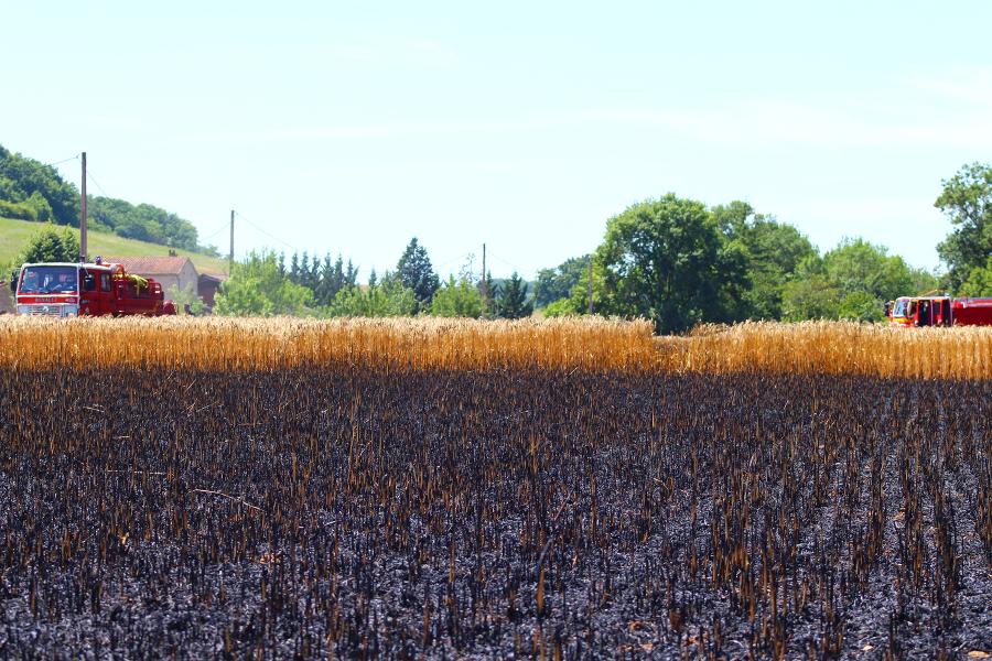 Feu de récolte sur la commune de Carlus