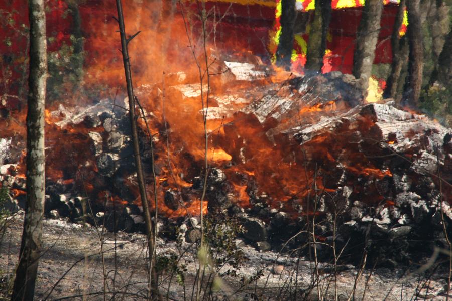 Feu de sous-bois à Labastide-Saint-Georges