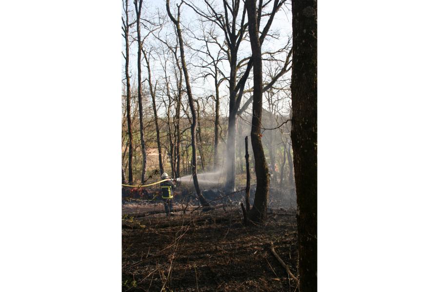 Feu de sous-bois à Labastide-Saint-Georges