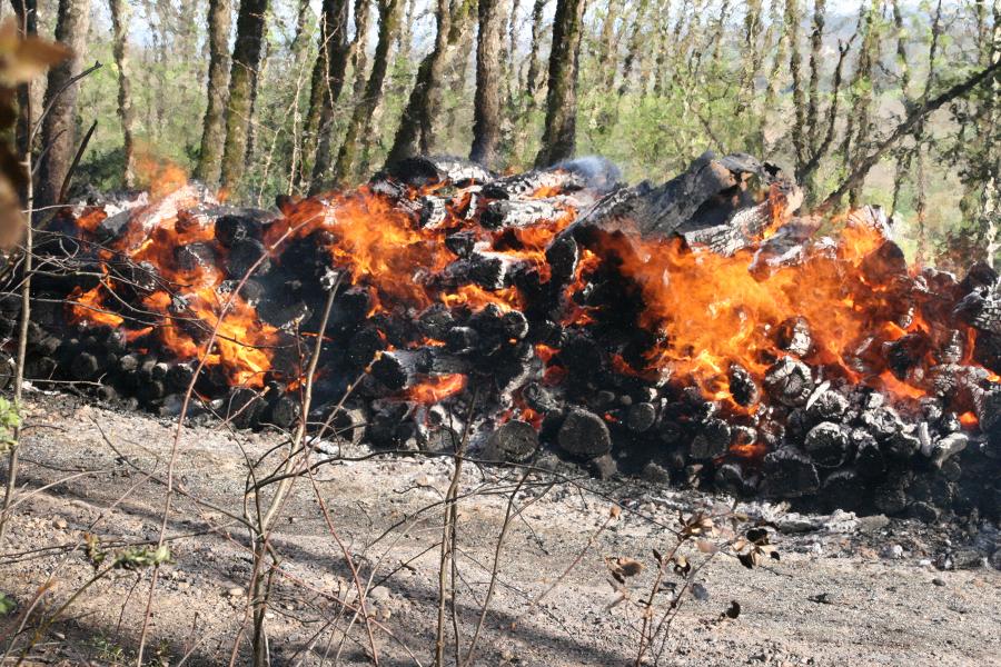 Feu de sous-bois à Labastide-Saint-Georges