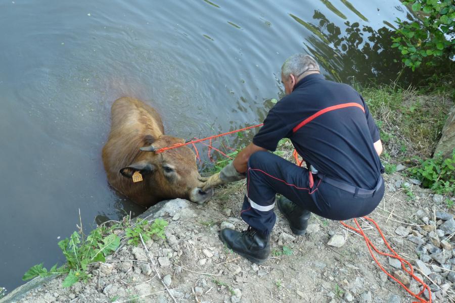 Sauvetage d&#039;animal sur la commune de Tanus
