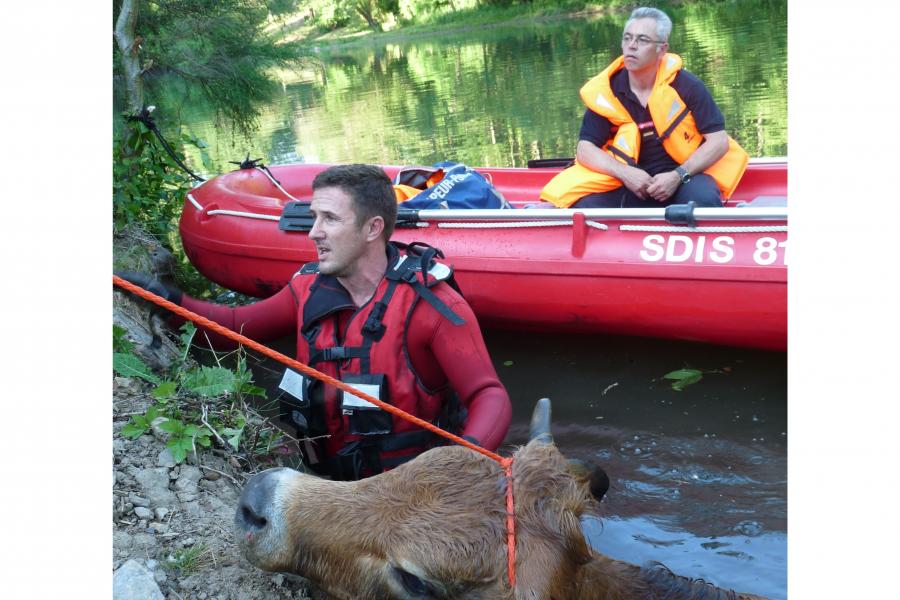 Sauvetage d&#039;animal sur la commune de Tanus
