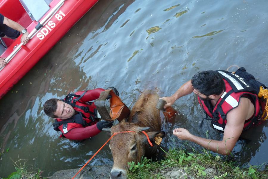Sauvetage d&#039;animal sur la commune de Tanus