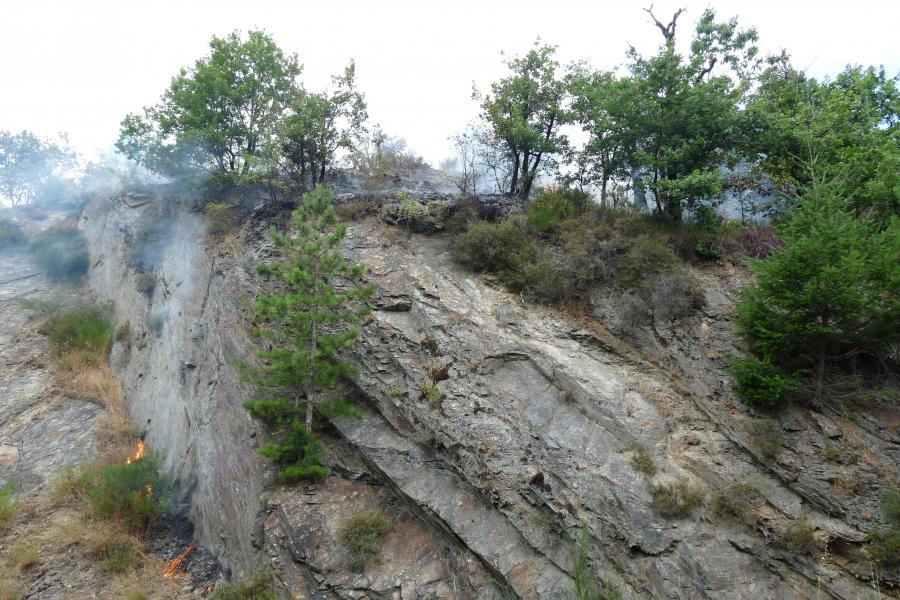 Feu de forêt à Labastide-Rouairoux