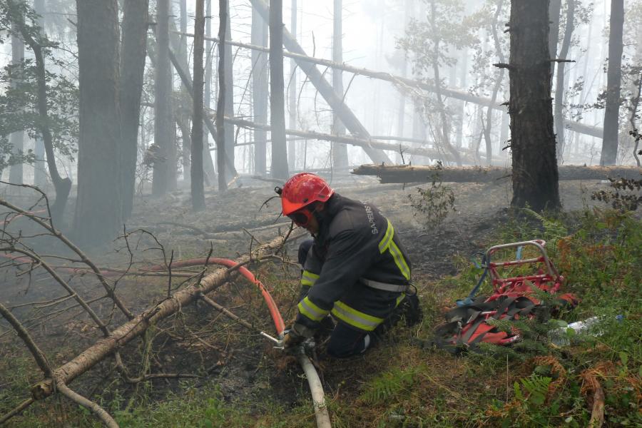 Feu de forêt à Labastide-Rouairoux