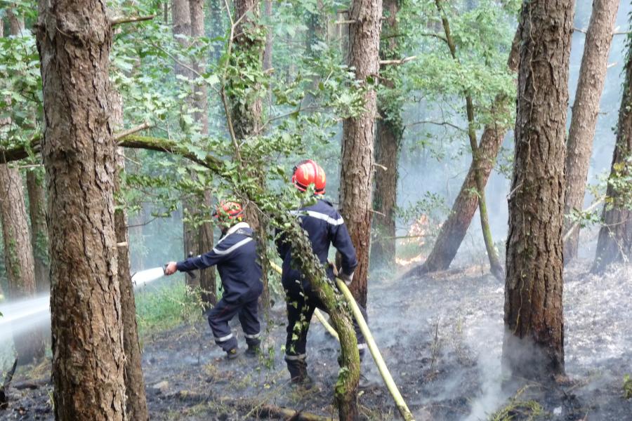 Feu de forêt à Labastide-Rouairoux