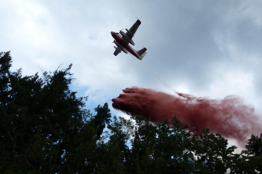Feu de forêt à Labastide-Rouairoux