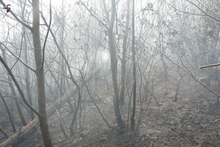Feu de sous-bois à Saint Amans Valtoret