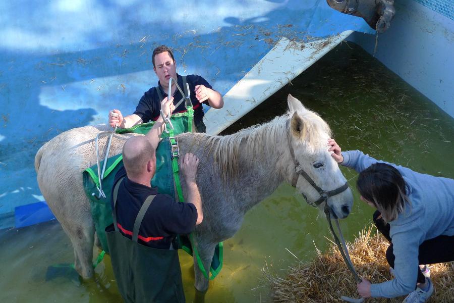 Sauvetage d&#039;animal à Carmaux