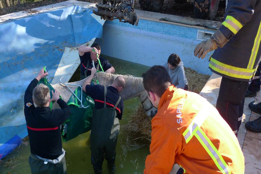 Sauvetage d&#039;animal à Carmaux
