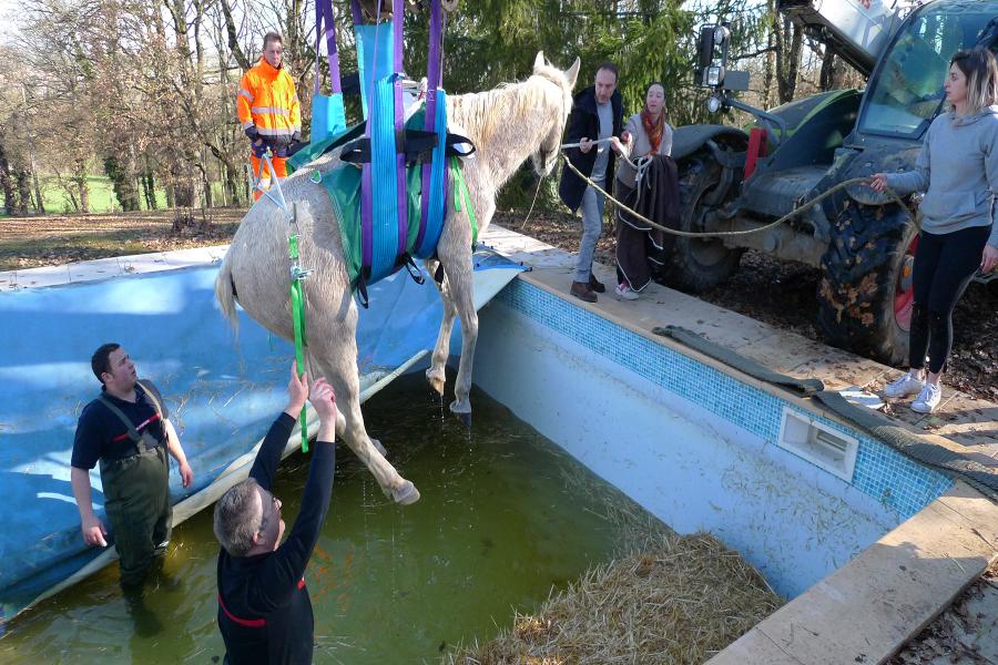 Sauvetage d&#039;animal à Carmaux