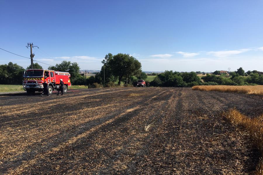 Les sapeurs-pompiers du Tarn mobilisés pour plusieurs feux de récoltes