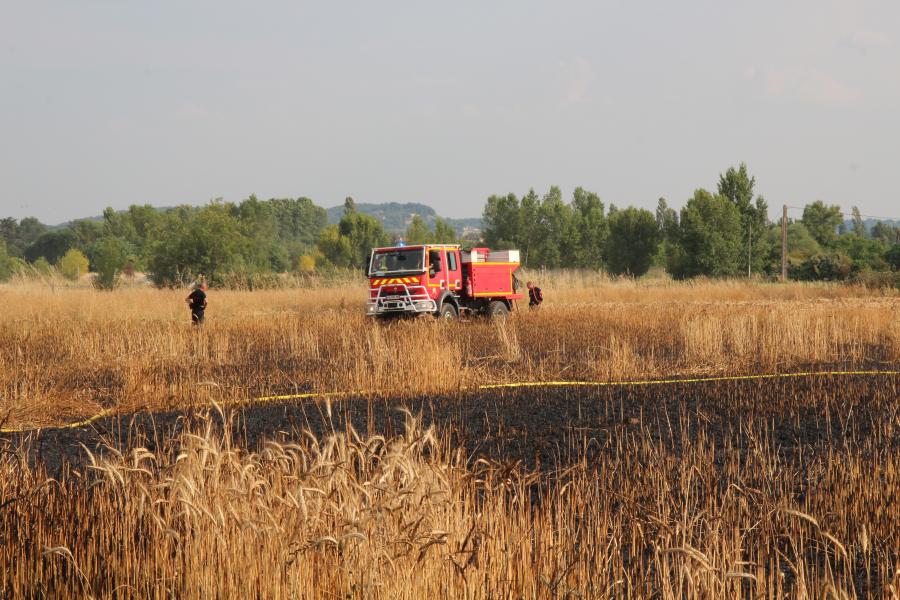 Les sapeurs-pompiers du Tarn mobilisés pour plusieurs feux de récoltes